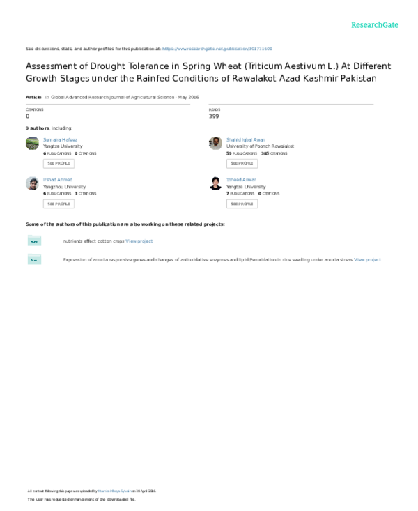 Assessment of Drought Tolerance in Spring Wheat (Triticum Aestivum L ...
