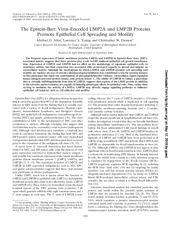 (PDF) The Epstein-Barr Virus-Encoded LMP2A and LMP2B Proteins Promote ...