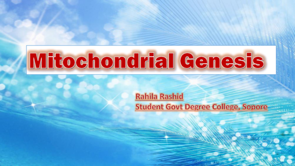 (PPT) Rahila ppt