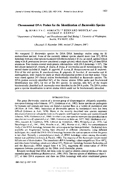 Chromosome probes essay 06 image