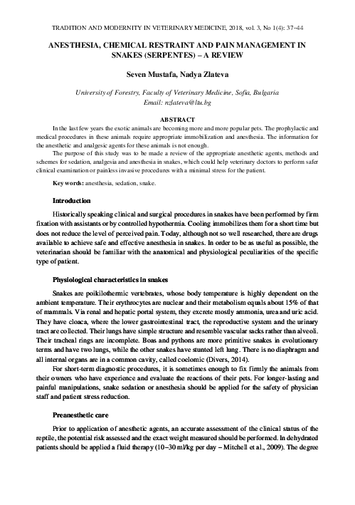 Chemical restraint essay 07 picture