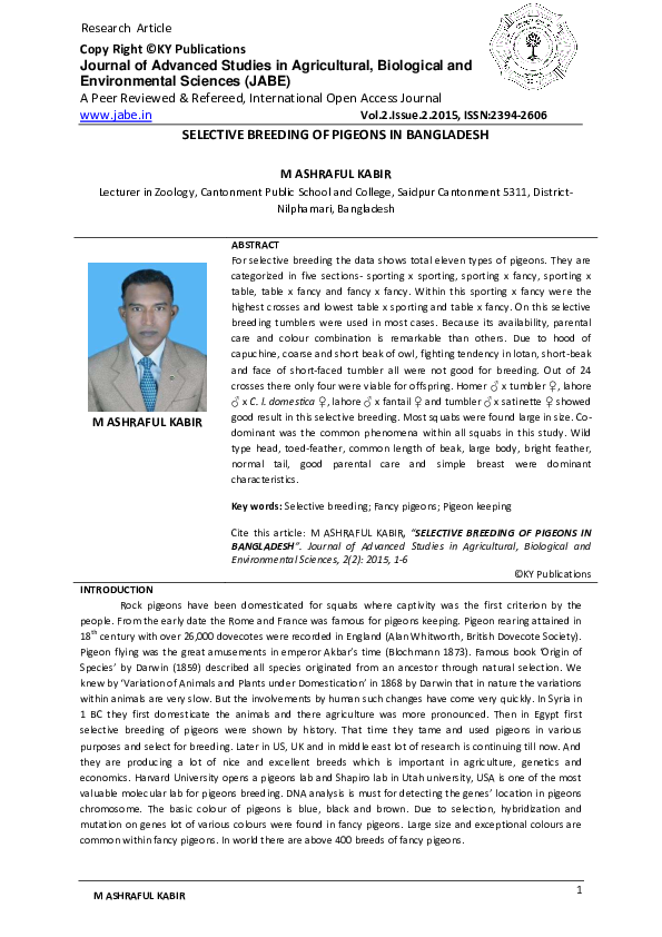 Selective breeding dogs image