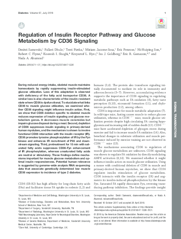 (PDF) Regulation of Insulin Receptor Pathway and Glucose Metabolism by ...