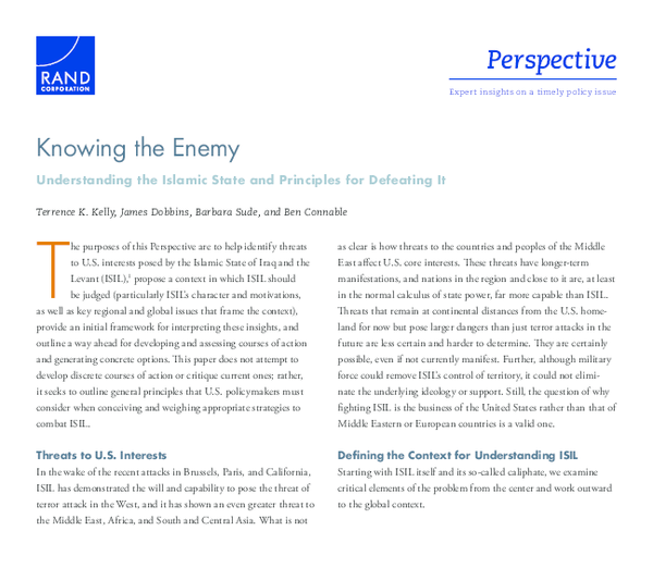 (PDF) Perspective Expert insights on a timely policy issue