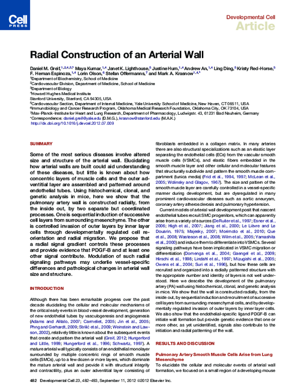 (PDF) Radial Construction of an Arterial Wall