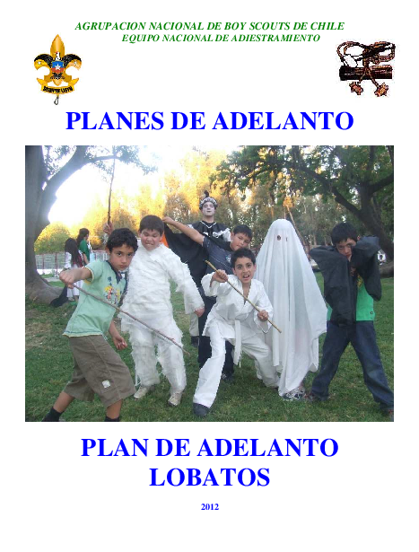 (PDF) AGRUPACION NACIONAL DE BOY SCOUTS DE CHILE PLANES DE ADELANTO