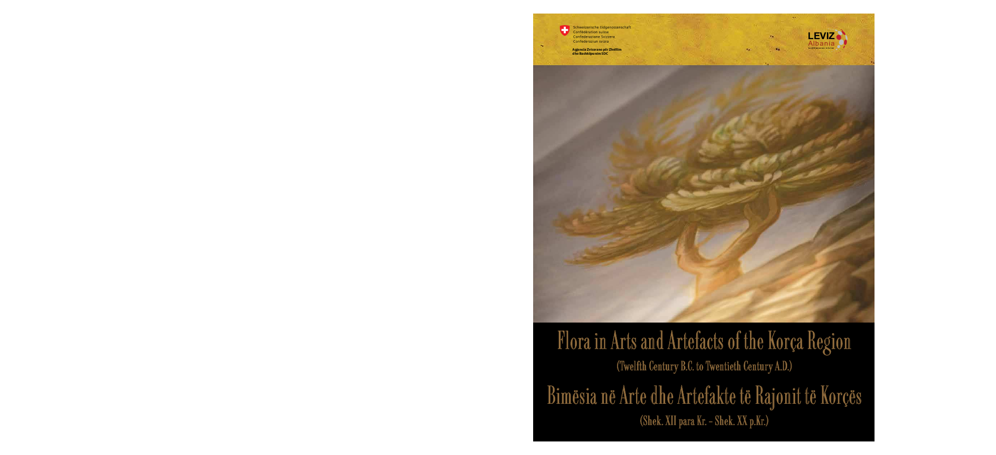 (PDF) Icon of 