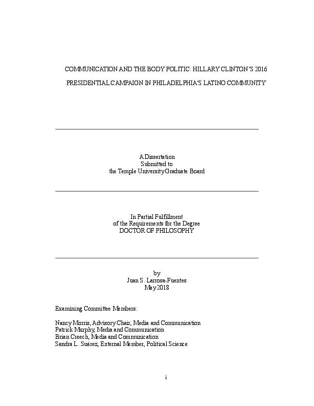 Election campaign dissertation 04 image