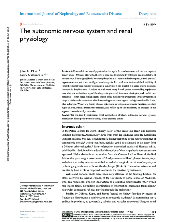 (PDF) The autonomic nervous system and renal physiology