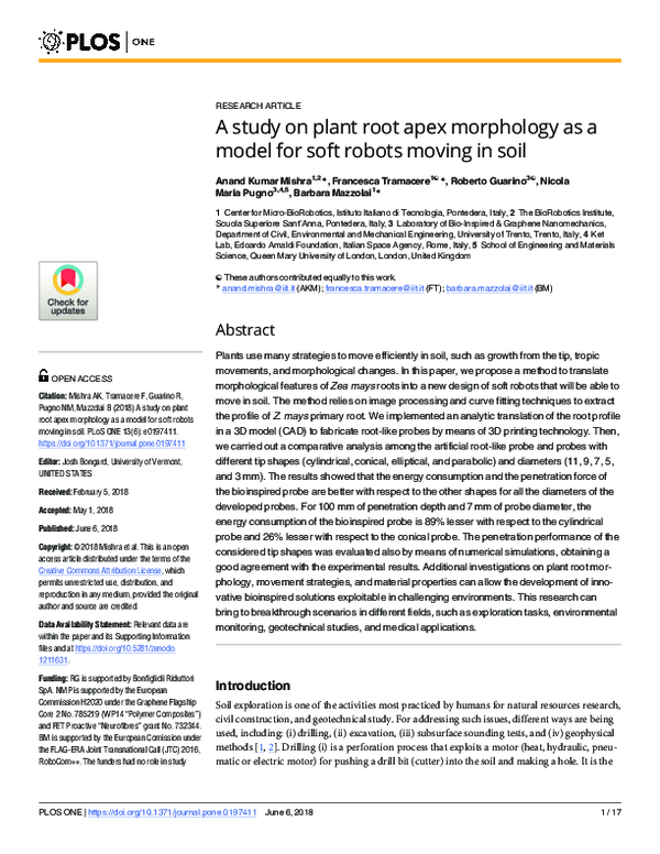 (PDF) A study on plant root apex morphology as a model for soft robots ...