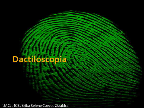 Ppt Dactiloscopia Ppt Dactiloscopia