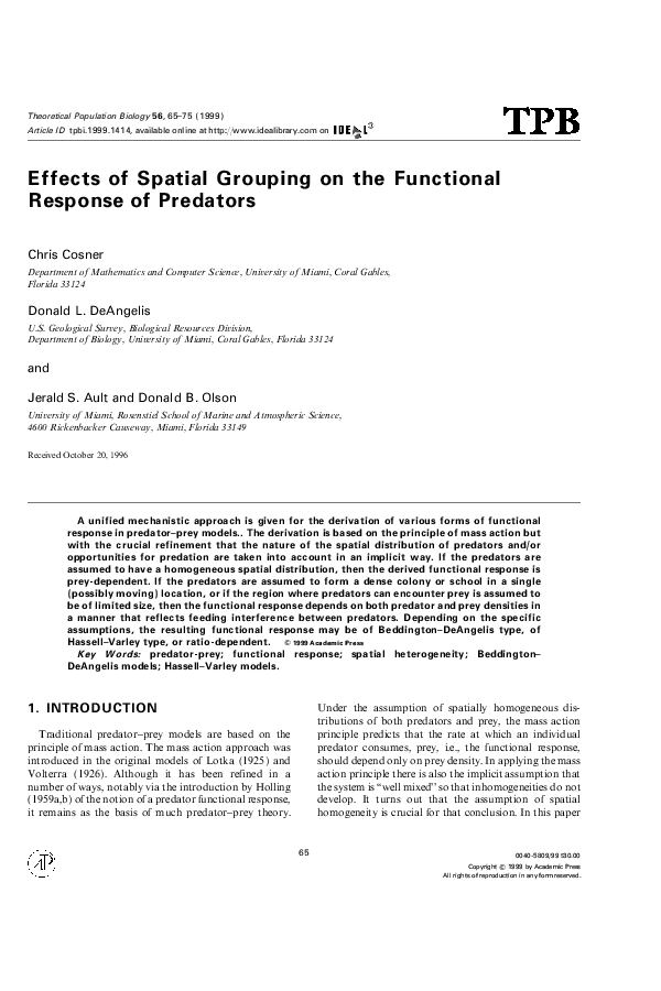 Online predators essay 05 picture