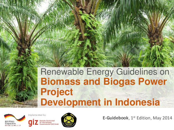 (PDF) Biomass and Biogas Power Project Development in Indonesia