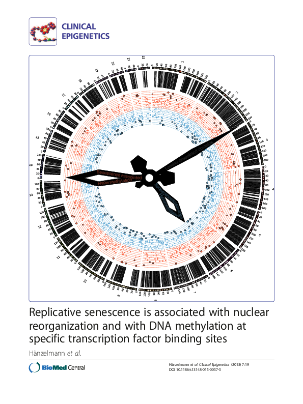 (PDF) Replicative senescence is associated with nuclear reorganization ...