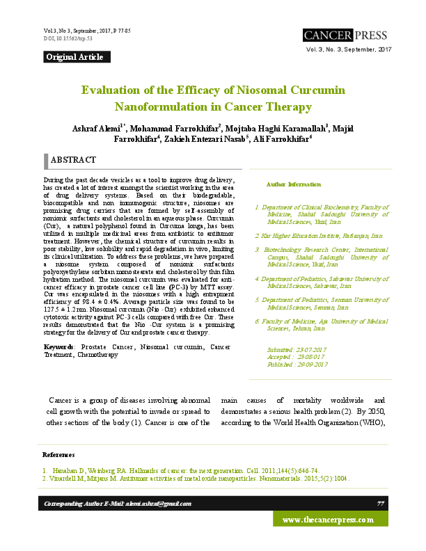 Essay about niosomal 04 image