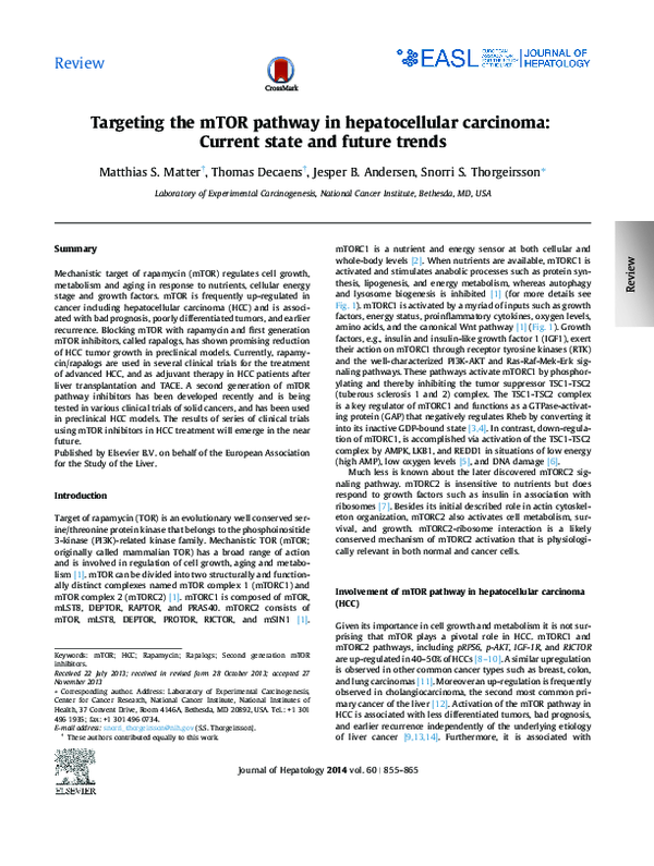 (PDF) Targeting the mTOR pathway in hepatocellular carcinoma: Current ...