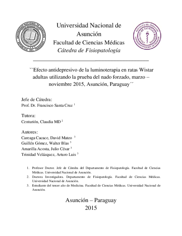 How to make essays longer image