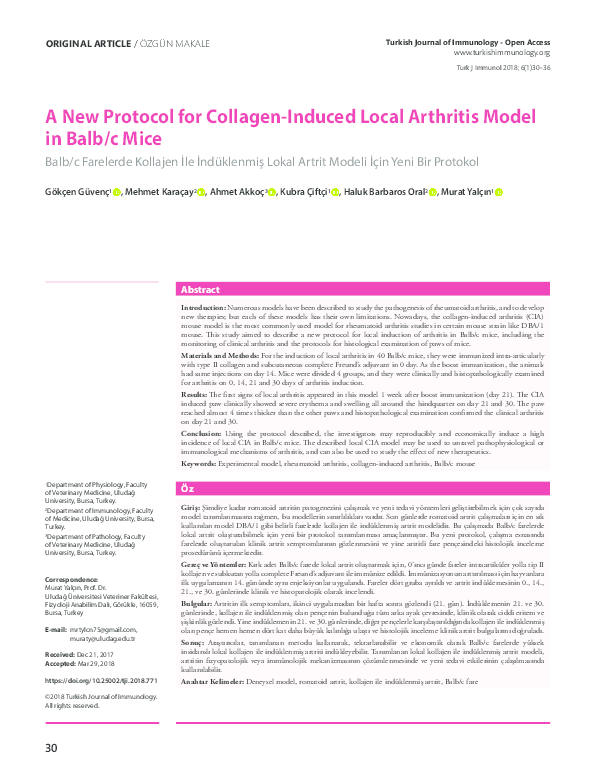 (PDF) A New Protocol for Collagen-Induced Local Arthritis Model in Balb ...