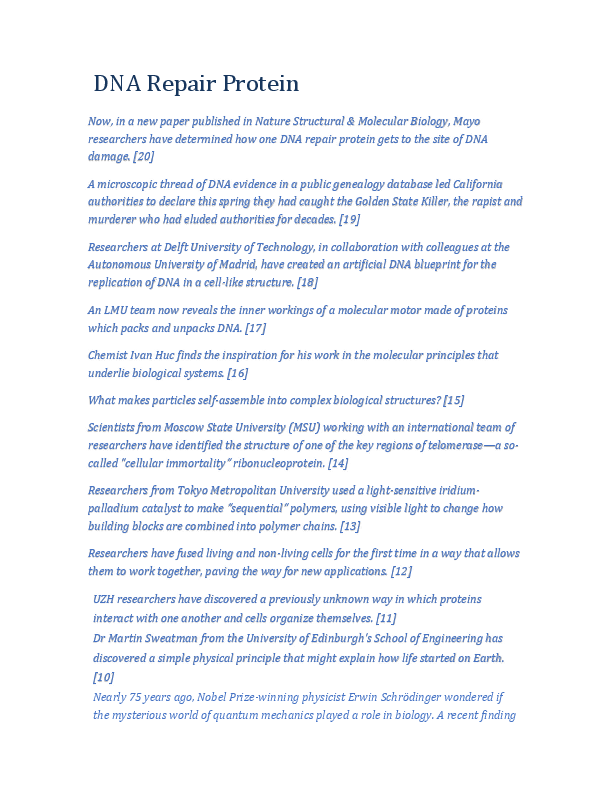 Dna repair essay 05 picture