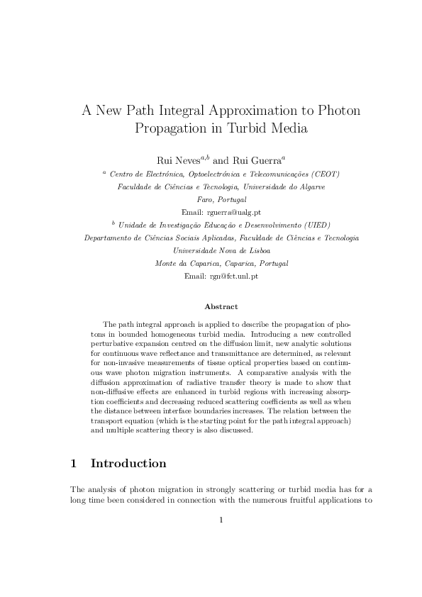 (PDF) A new path integral approximation to photon propagation in turbid ...