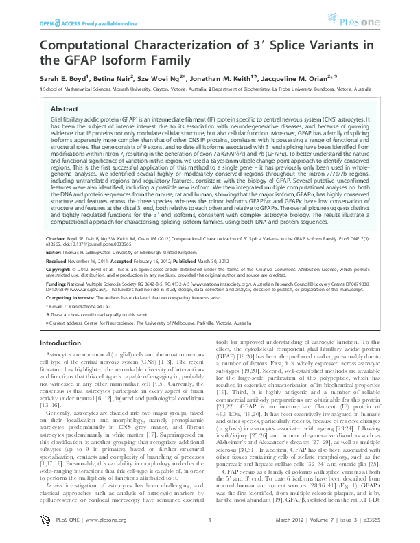 (PDF) Computational Characterization of 3′ Splice Variants in the GFAP ...