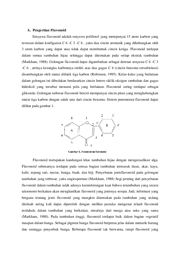(DOC) Flavonoid Susi Andriani Academia.edu