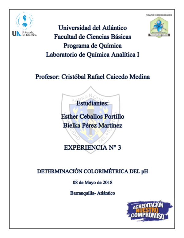 How to make essays longer image