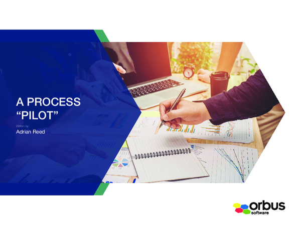 (PDF) A process pilot