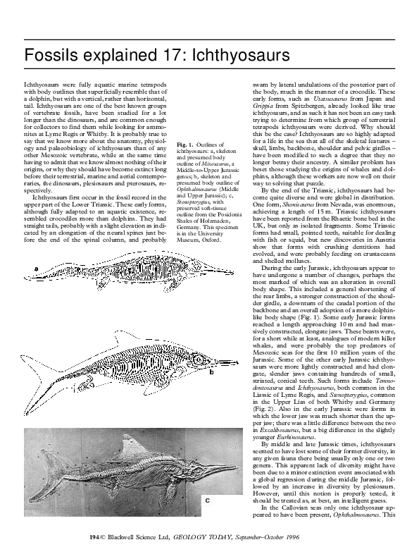(PDF) Fossils explained 17 Ichthyosaurs David Martill Academia.edu