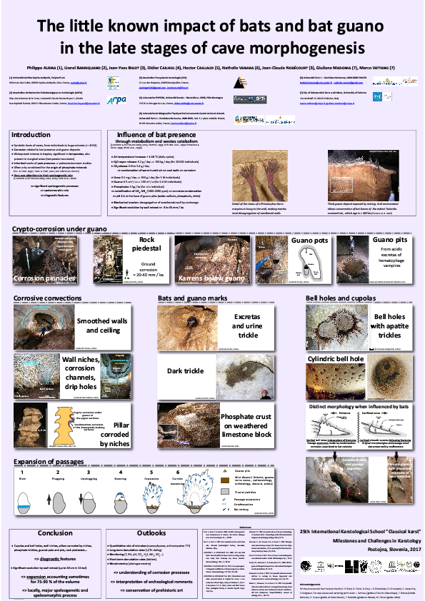 Pdf 17 The Little Known Impact Of Bats And Bat Guano In The Late Stages Of Cave Morphogenesis Jean Yves Bigot And Didier Cailhol Academia Edu