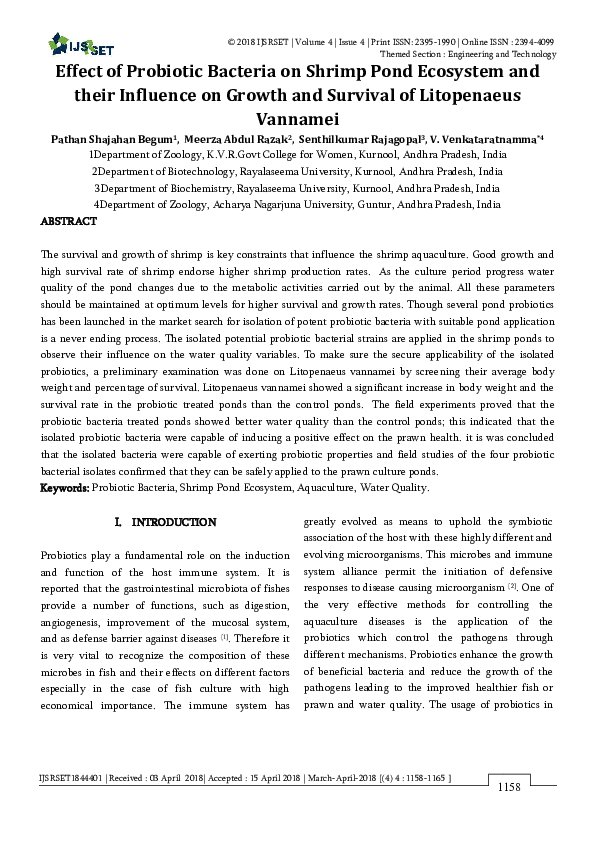 Pond ecosystem conclusion picture