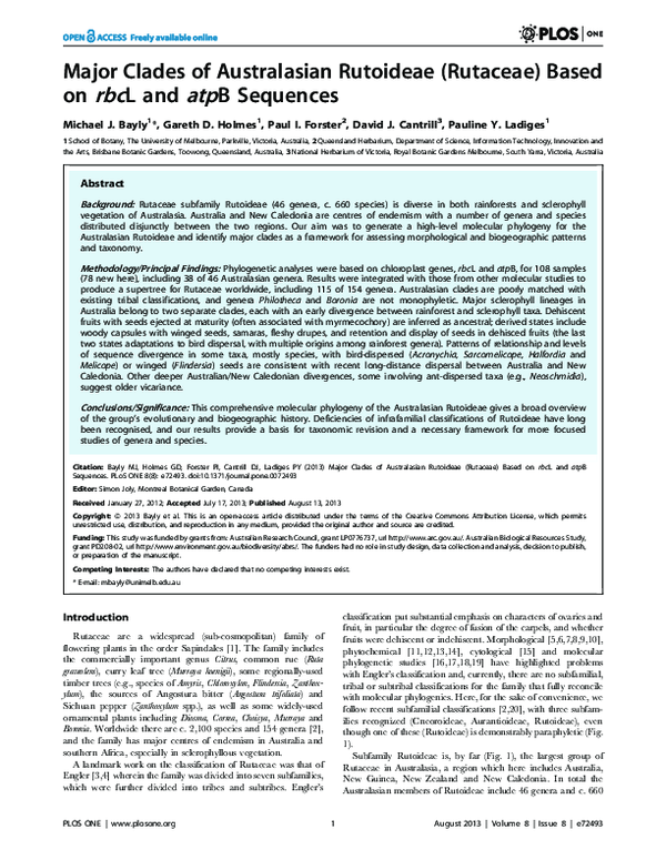 (PDF) Major Clades of Australasian Rutoideae (Rutaceae) Based on rbcL ...