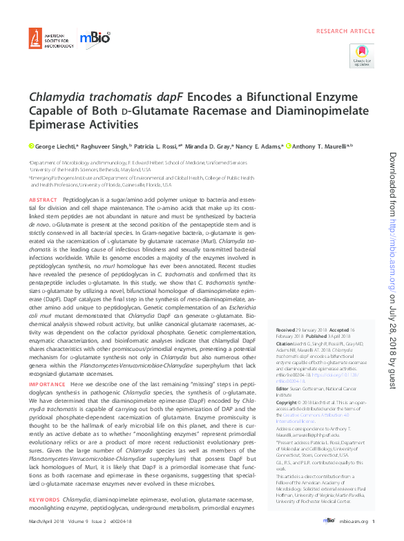 Chlamydia research paper image