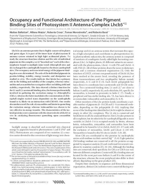 (PDF) Occupancy and Functional Architecture of the Pigment Binding