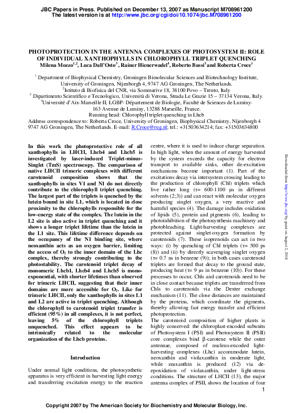(PDF) Photoprotection in the Antenna Complexes of Photosystem II ROLE