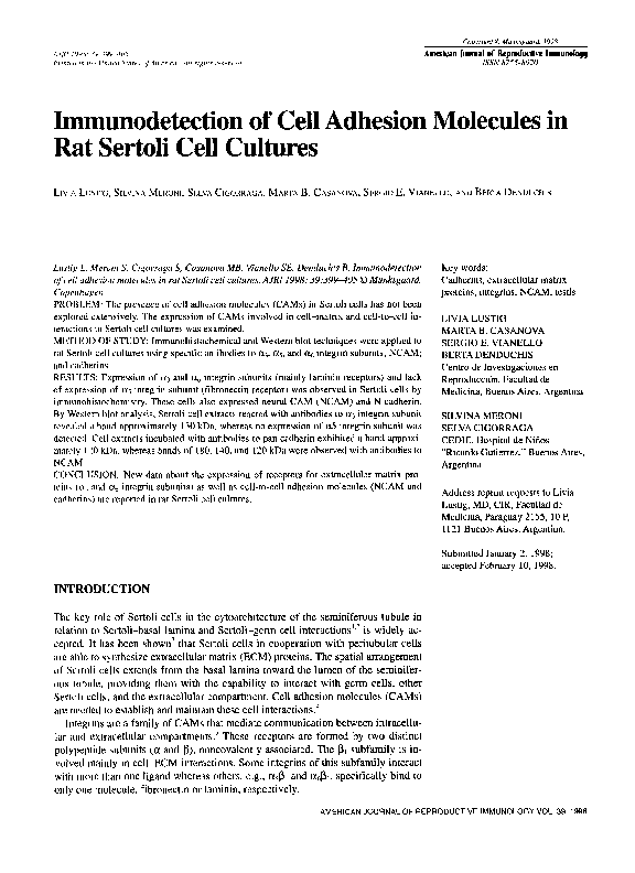 (PDF) Immunodetection of Cell Adhesion Molecules in Rat Sertoli Cell ...