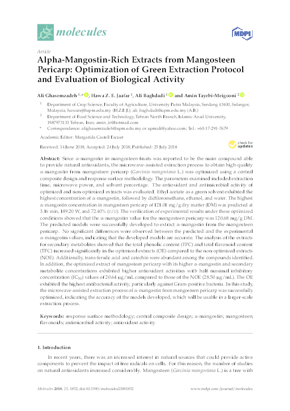 Mangosteen essay 05 image