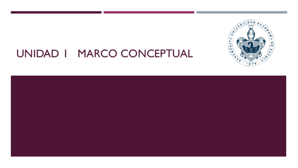 (PPT) UNIDAD 1 MARCO CONCEPTUAL
