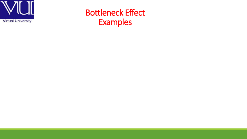 (PPT) Bottleneck effect Examples Durdanah Durrah Academia.edu