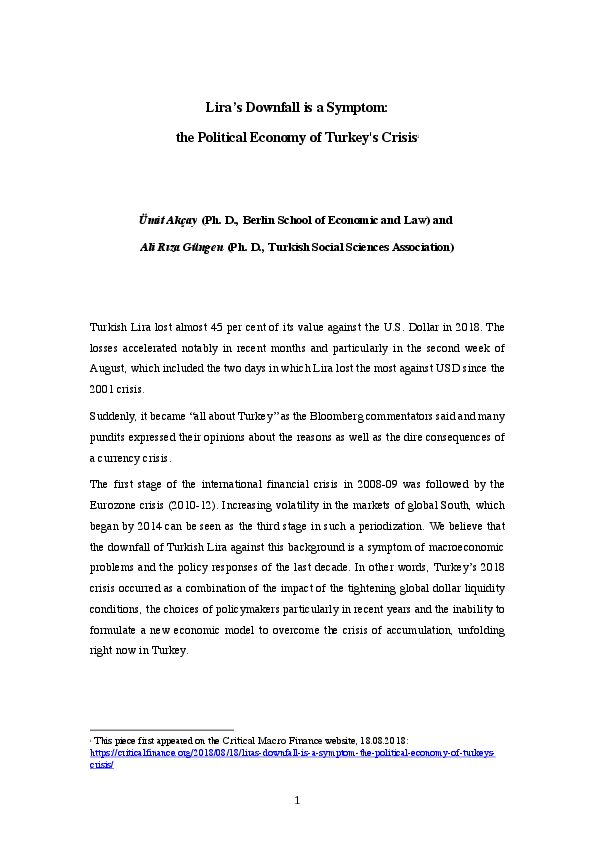 (PDF) Lira’s Downfall is a Symptom: the Political Economy of Turkey's ...