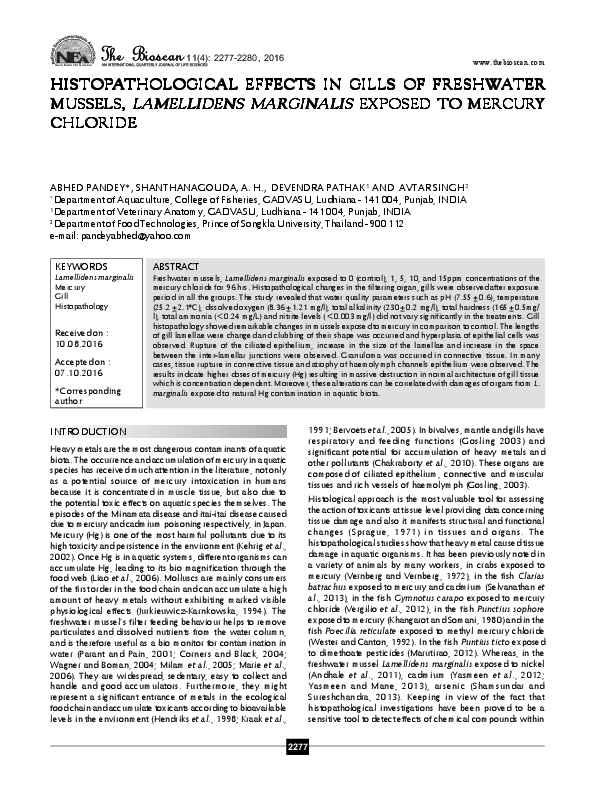 (PDF) HISTOPATHOLOGICAL EFFECTS IN GILLS OF FRESHWATER MUSSELS
