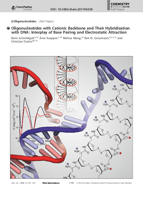 pdf-oligonucleotides-with-cationic-backbone-and-their-hybridization