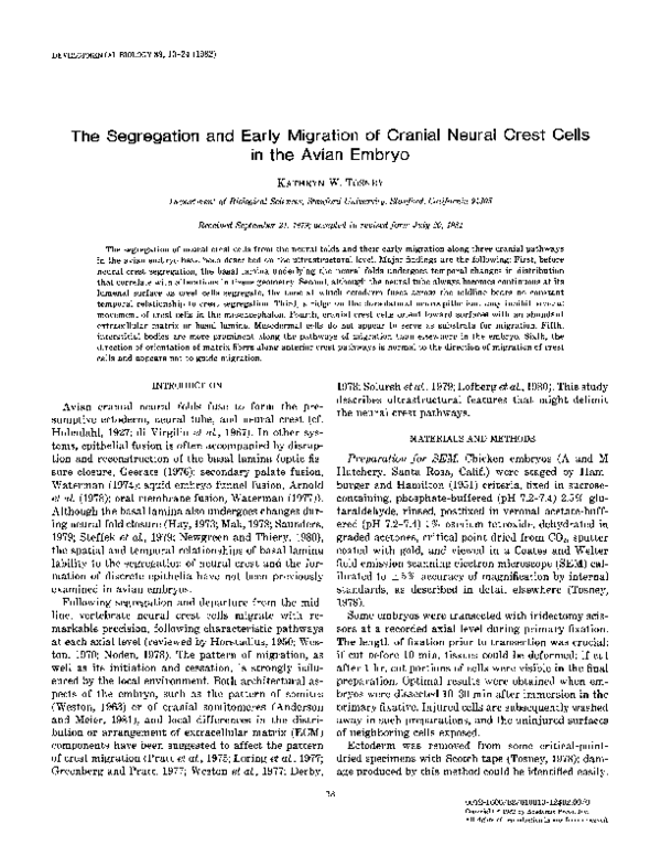 (PDF) The segregation and early migration of cranial neural crest cells ...