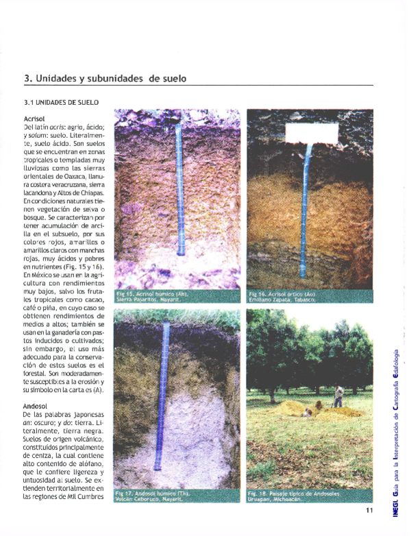  PDF GUIA PARA LA INTERPRETACION CARTOGRAFICA EDAFOLOGIA INEGI 