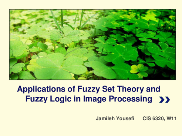 (PDF) Applications of Fuzzy Set Theory and Fuzzy Logic in Image Processing