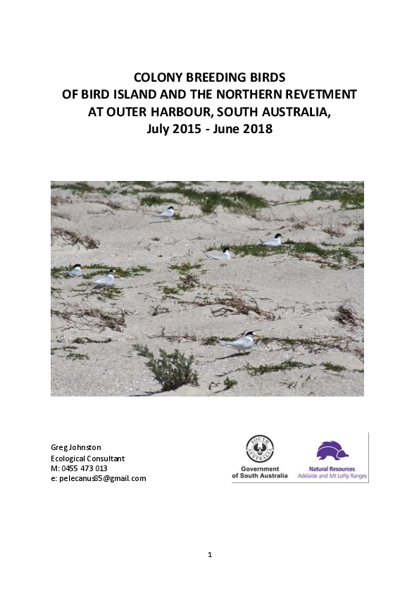 (PDF) Colony breeding birds of Bird Island and the northern revetment