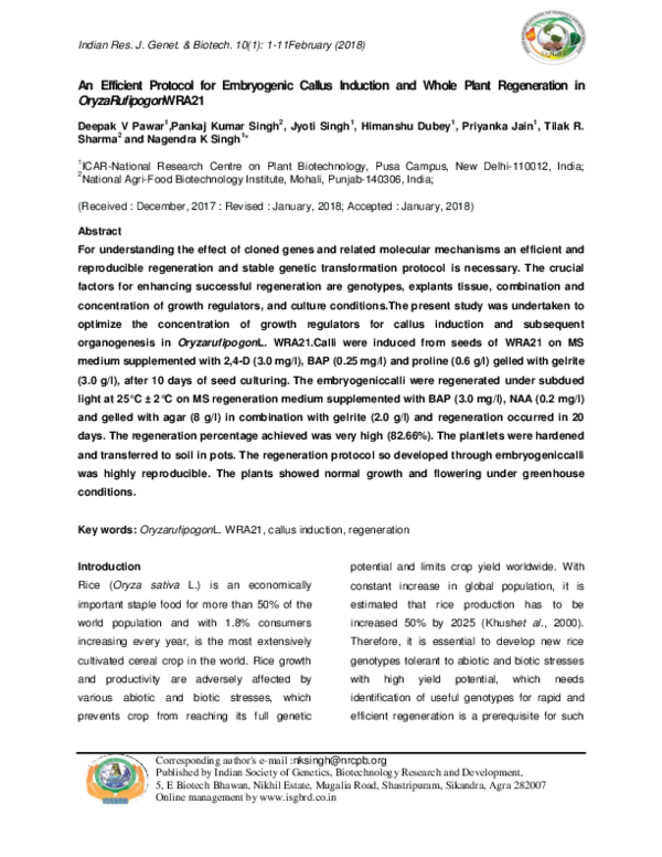 (PDF) An Efficient Protocol for Embryogenic Callus Induction and Whole ...