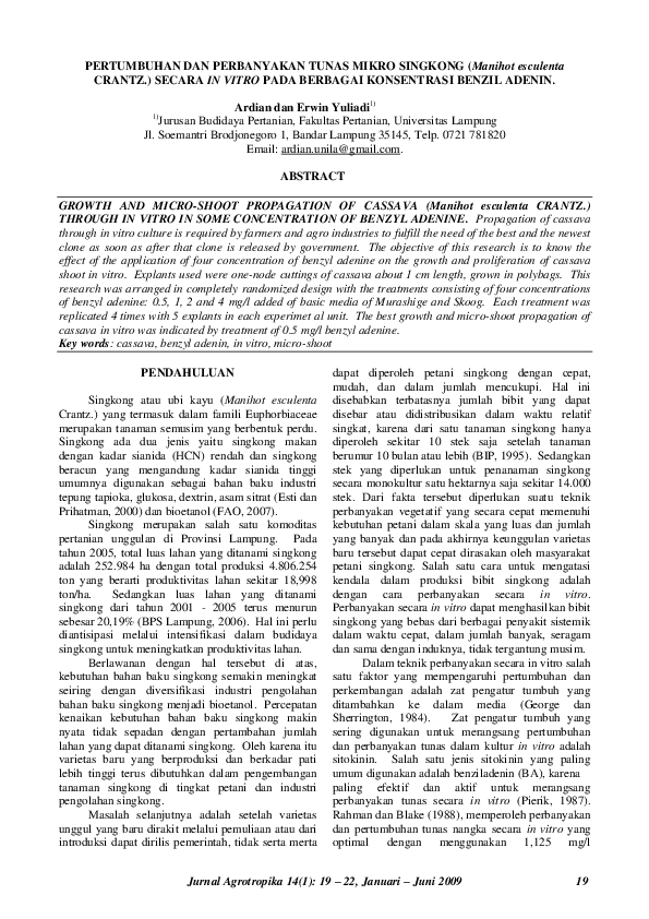 (PDF) PERTUMBUHAN DAN PERBANYAKAN TUNAS MIKRO SINGKONG (Manihot