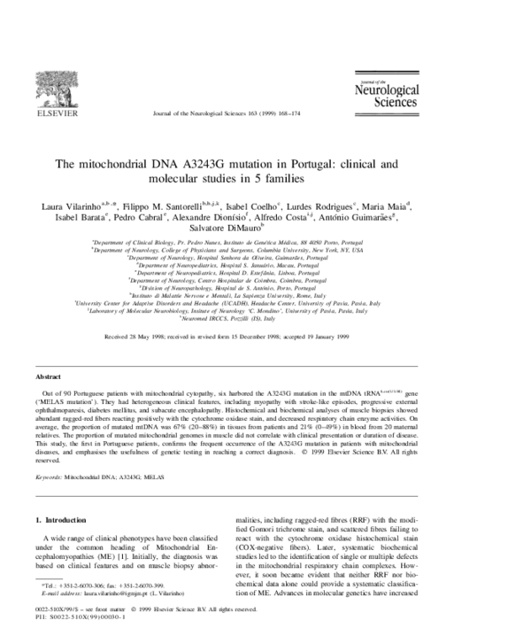 Mitochondrial dna analysis picture