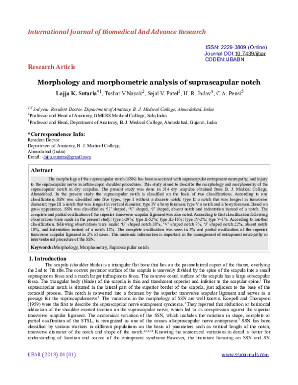 (PDF) Morphology and morphometric analysis of suprascapular notch